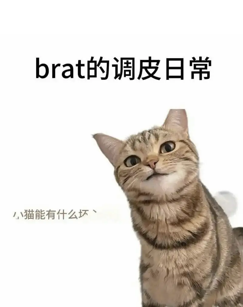 西檬之家sp小圈是什么?字母圈新人入圈指南 一