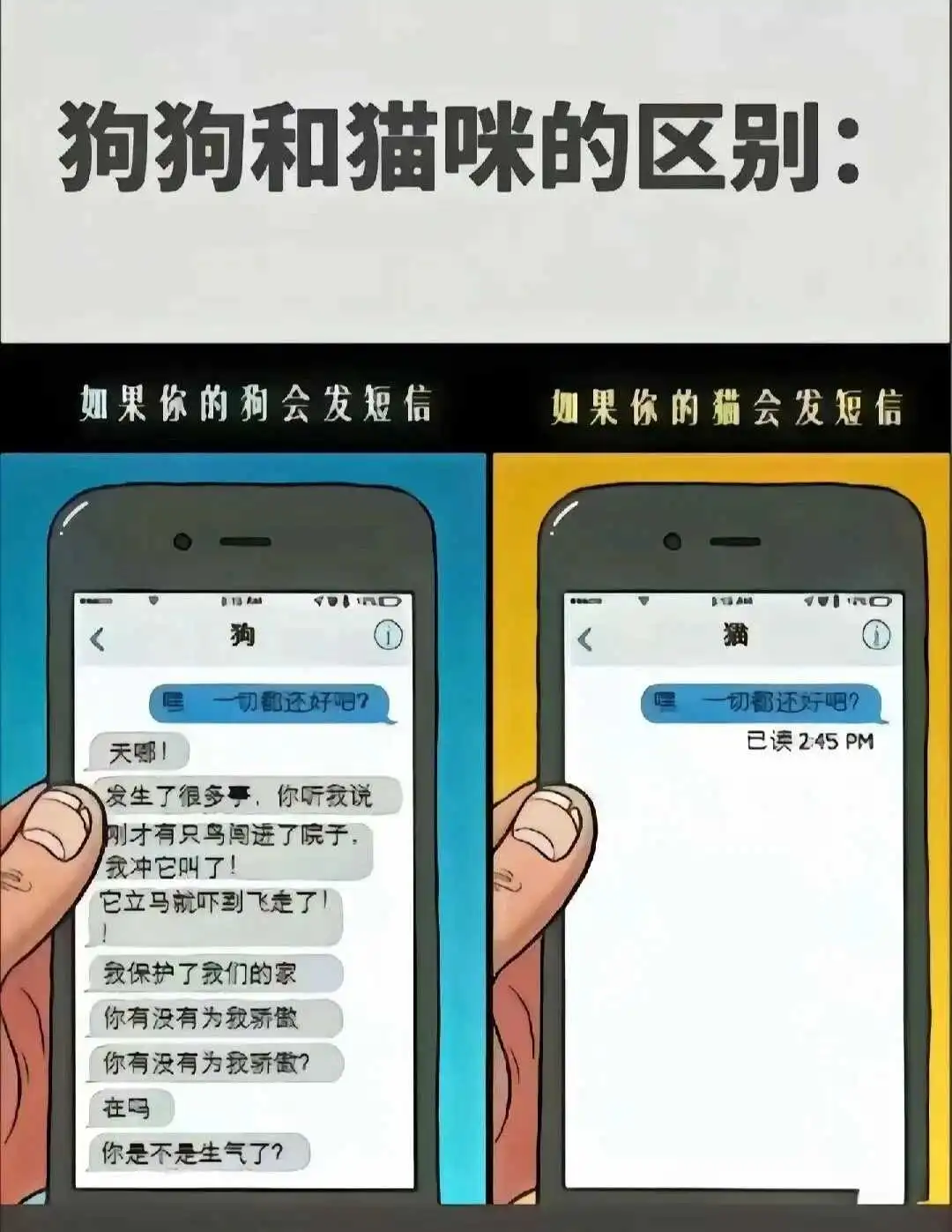 西檬之家sp小圈是什么?新人入圈指南 一