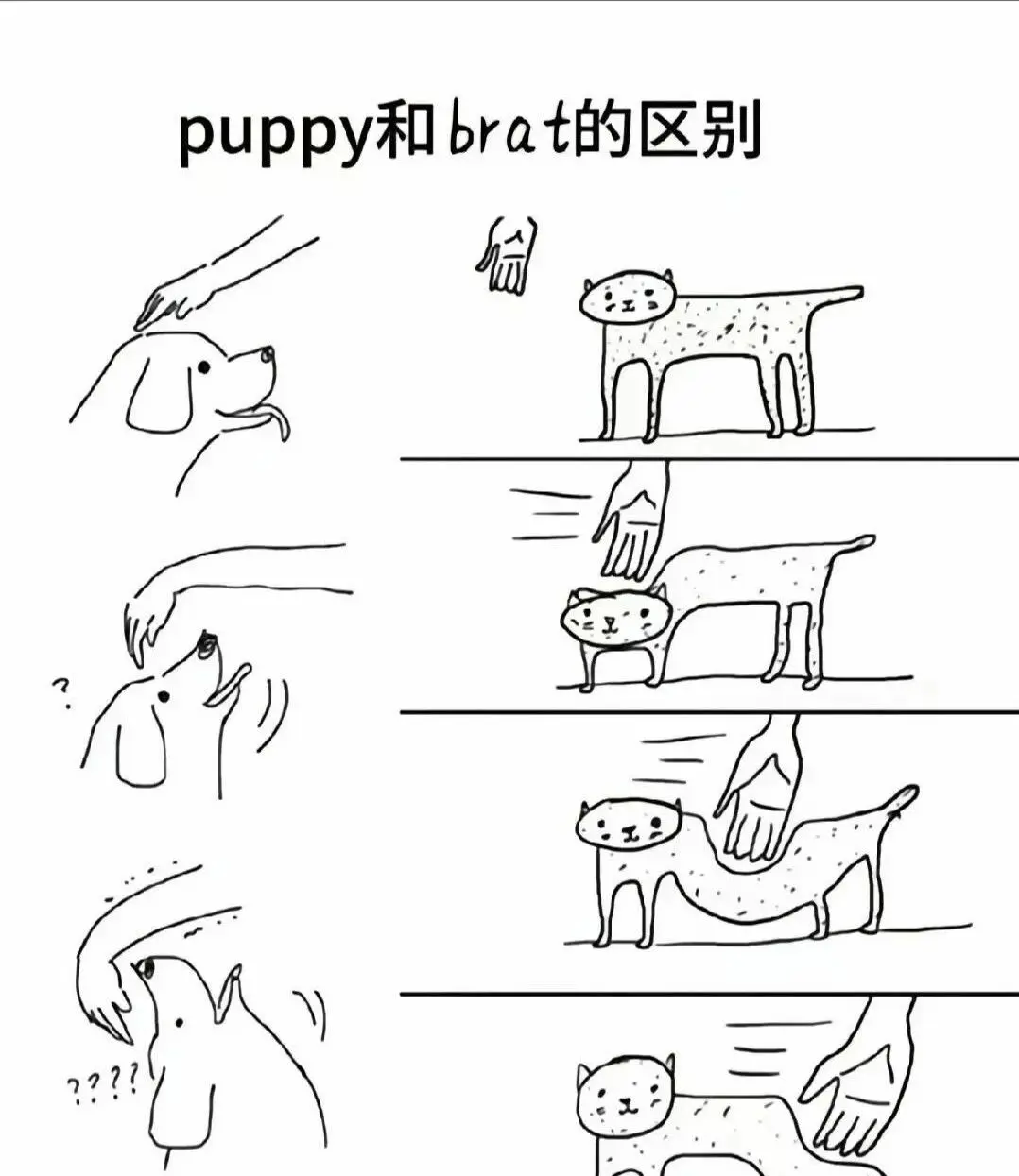 西檬之家字母圈入圈完全指南 一
