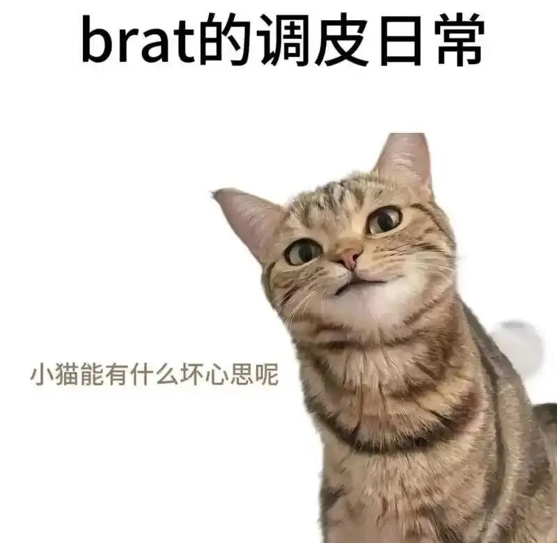 西檬之家字母圈入圈新人指南 一
