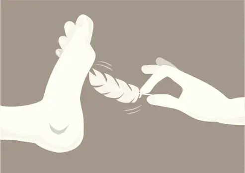 西檬之家sm亚文化入圈指南 一