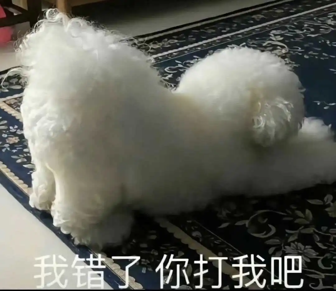 西檬之家K9是什么? 一