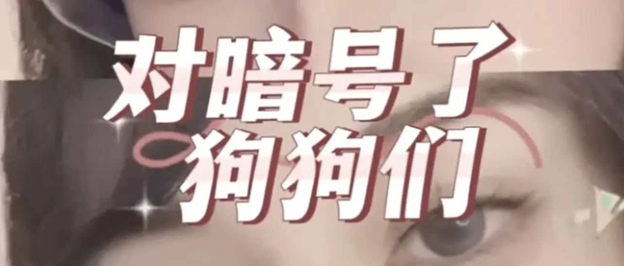 西檬之家字母圈Dom是什么? 一
