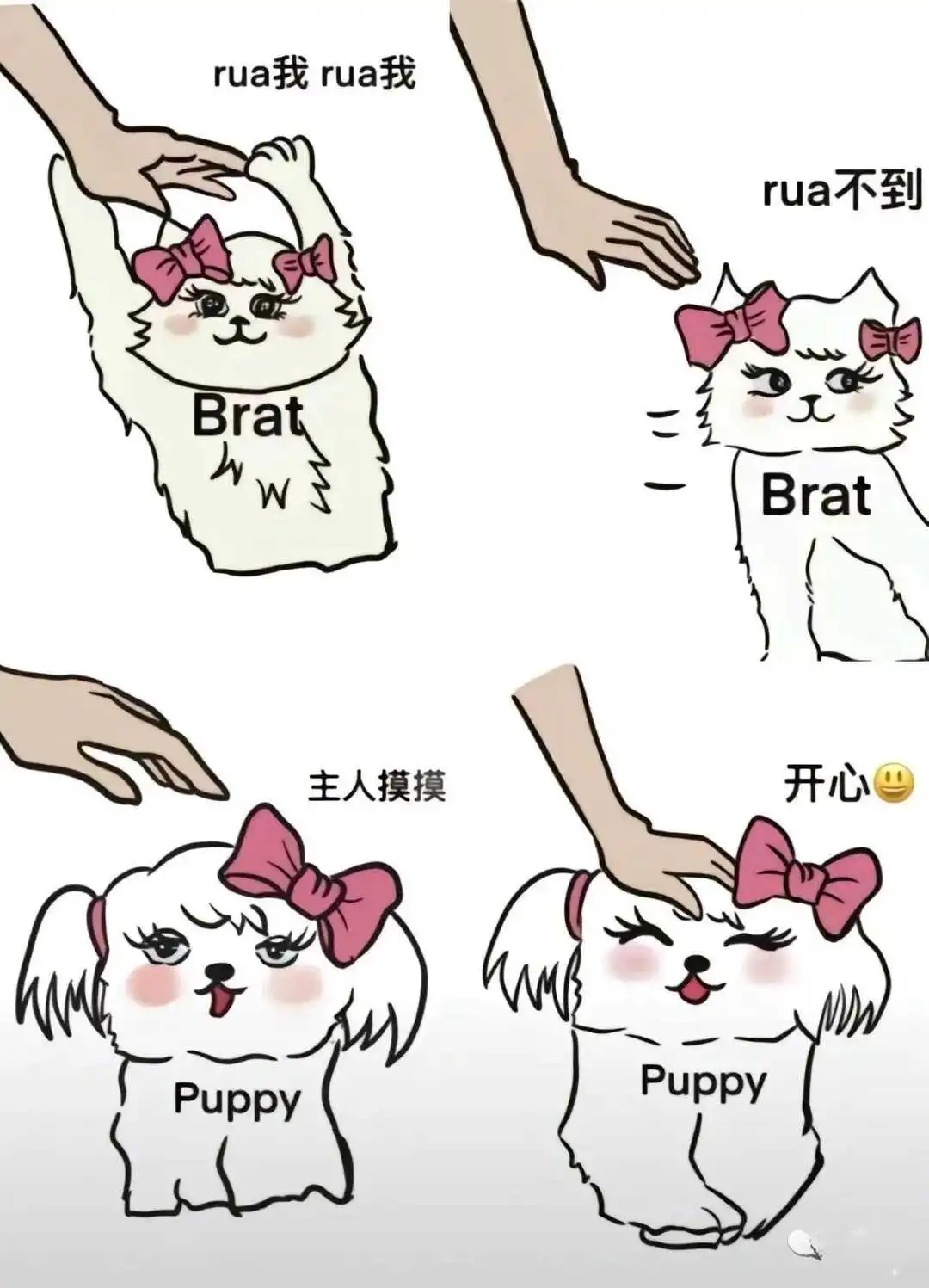 西檬之家字母圈的ds关系是什么? 一