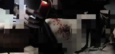 西檬之家字母圈女王是什么意思?新人必看 一
